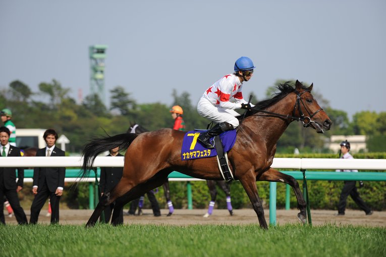 ナカヤマフェスタ（セレクトセールで1000万円で落札）　©BUNGEISHUNJU