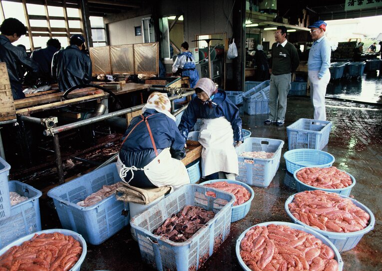 鮭の解体工場を見学する川上哲治さん©︎BUNGEI SHUNJU