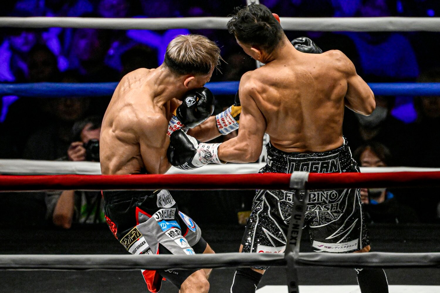 ドネアの強烈な左アッパーをブロックする堤聖也 ©Takuya Sugiyama