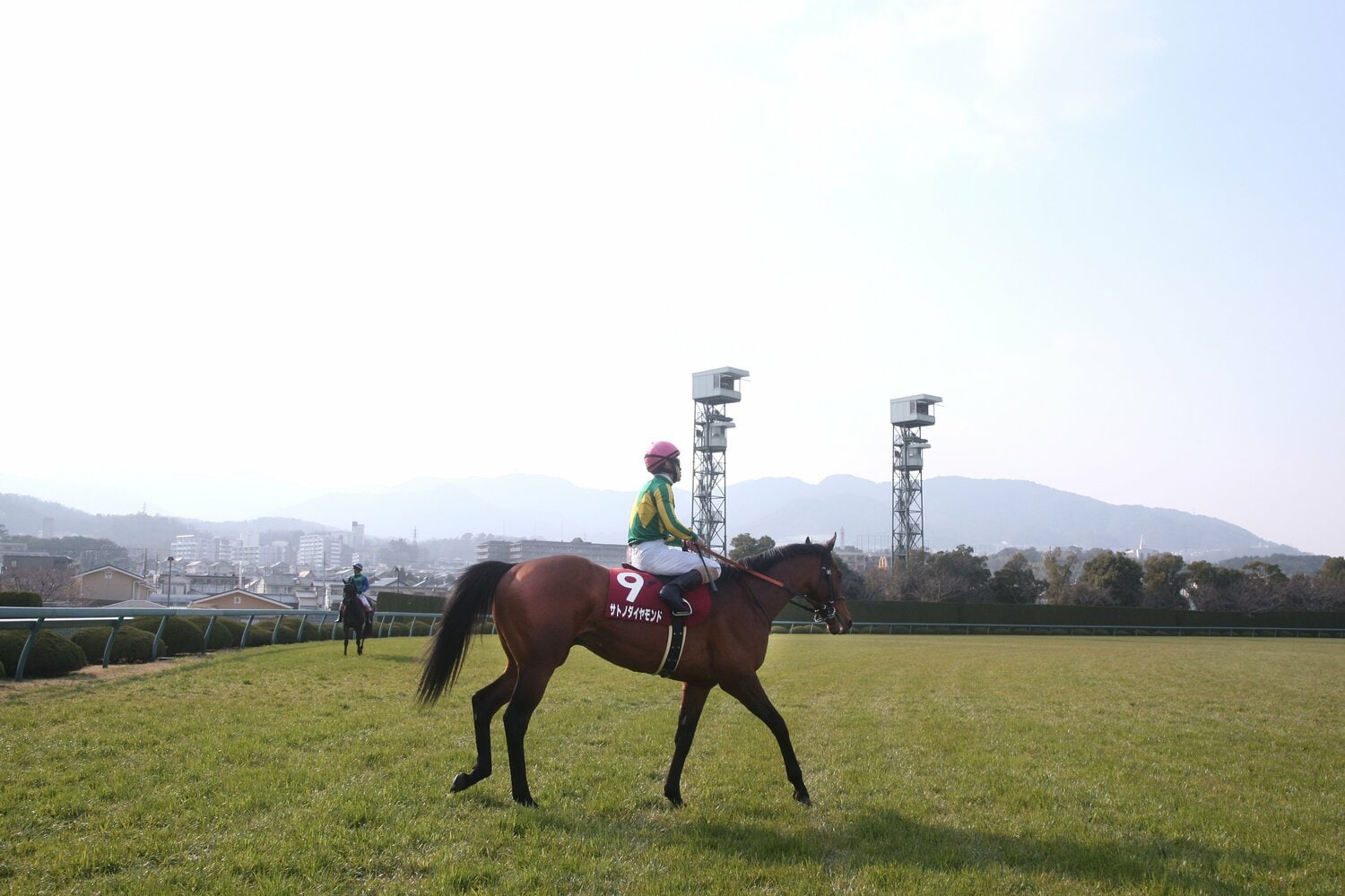 阪神大賞典で優勝したサトノダイヤモンド　©AFLO