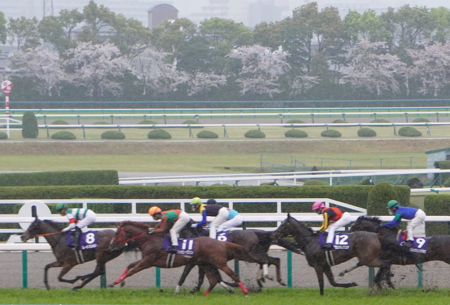 大阪杯でのグランアレグリア（桃帽）はコントレイルに次ぐ2番人気に推されたが、制したのはレイパパレ（緑帽）だった