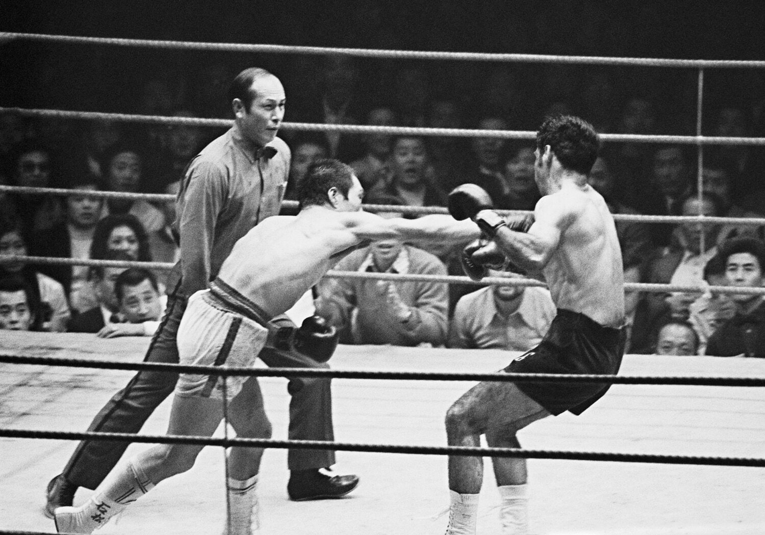 1974年11月28日、WBC世界ライト級王座2度目の防衛戦。ガッツ石松は前王者ロドルフォ・ゴンザレスをKOで返り討ちに ©JIJI PRESS