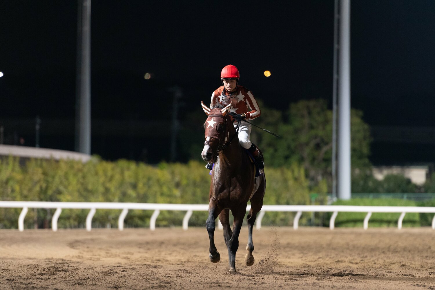 羽田盃を6馬身差で圧勝したミックファイアと御神本訓史　写真提供：TCK（東京シティ競馬）
