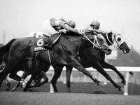 追悼》タイキシャトルは日本競馬史上もっとも偉大なマイラーだっ