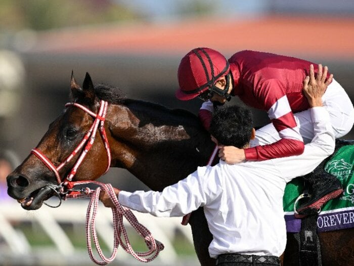 “凱旋門賞より遠い”BCクラシックを制覇…フォーエバーヤング“年度代表馬の可能性”を考察「じつはアメリカでも議論に」「JRA未出走は過去一例のみ」＜Number Web＞ photograph by Getty Images