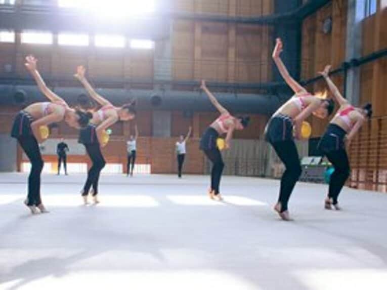 フェアリージャパンの選手たちは、山崎浩子強化本部長らの指導のもと、'11年にモンペリエで行われた世界選手権で5位となり、ロンドン五輪出場を決めた。 