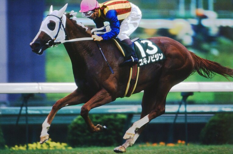 ユキノビジン（1993年クイーンS）　©Keiji Ishikawa