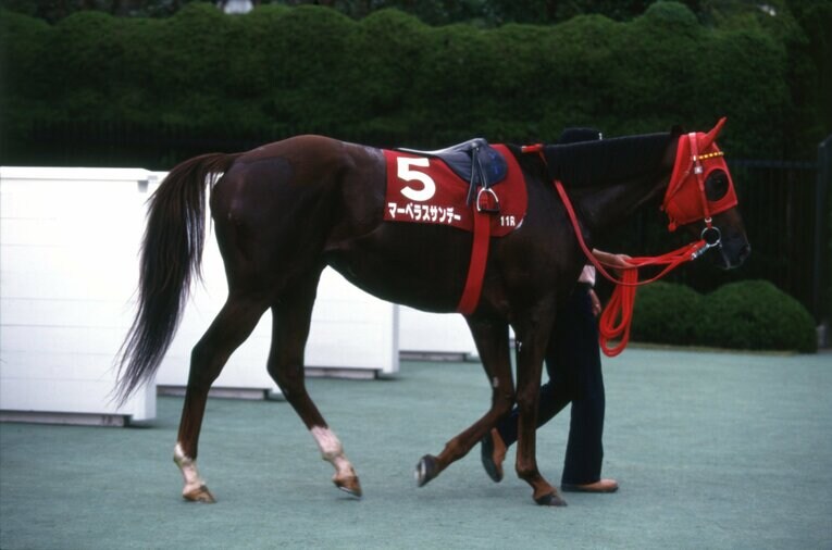 1996年京都大賞典、マーベラスサンデー　©Keiji Ishikawa