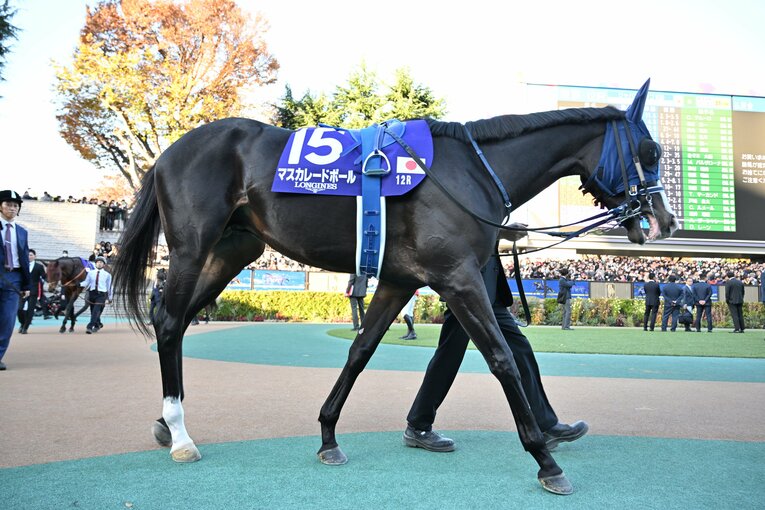 パドックでのマスカレードボール　©Keiji Ishikawa