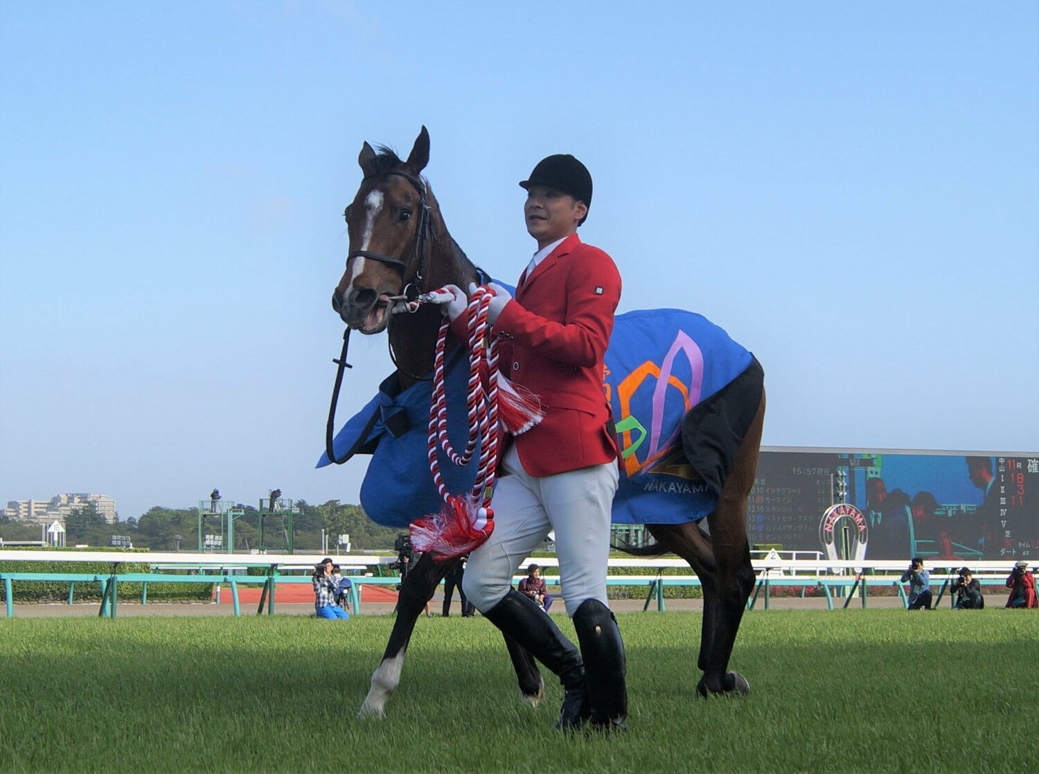 2016年の皐月賞を制したディーマジェスティ　©Satoshi Hiramatsu