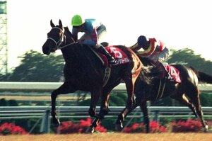 「まるで芸術品」「ゾクッとしました」20歳の武豊が初めてダービーを意識した“消えた天才”…脚にボルトを入れた“不屈の名馬”が復活するまで