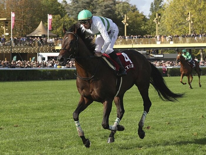 凱旋門賞、日本勢大敗のショック。タフな馬場の攻略法は見つかるのか。＜Number Web＞ photograph by Kyodo News