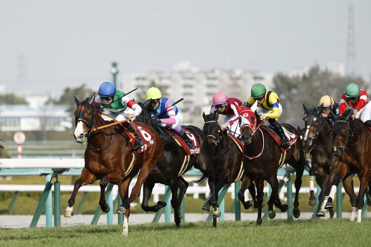 桜花賞》ナミュール最大の課題“出遅れ”は克服した？ 調教師が正直に