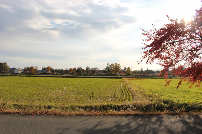 「俺らもプロに行けるかも…感覚がバグる」ドラフト“史上最多”6人指名の富士大ってどんな所？ 岩手の奥地「ポツンと一軒大学」を訪ねてみた！(85)