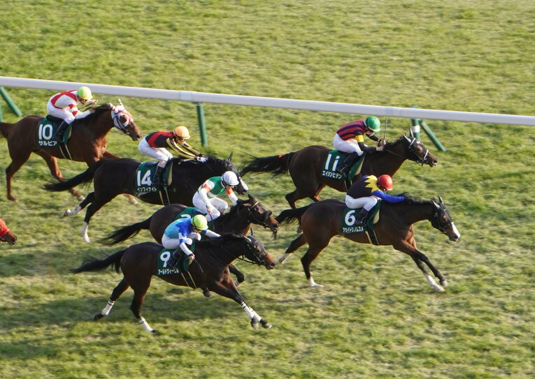 クイーンCを制覇した際のアカイトリノムスメ　©Satoshi Hiramatsu