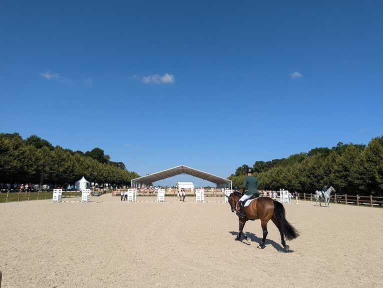 出番を待つ人馬の待機所　©JMPA