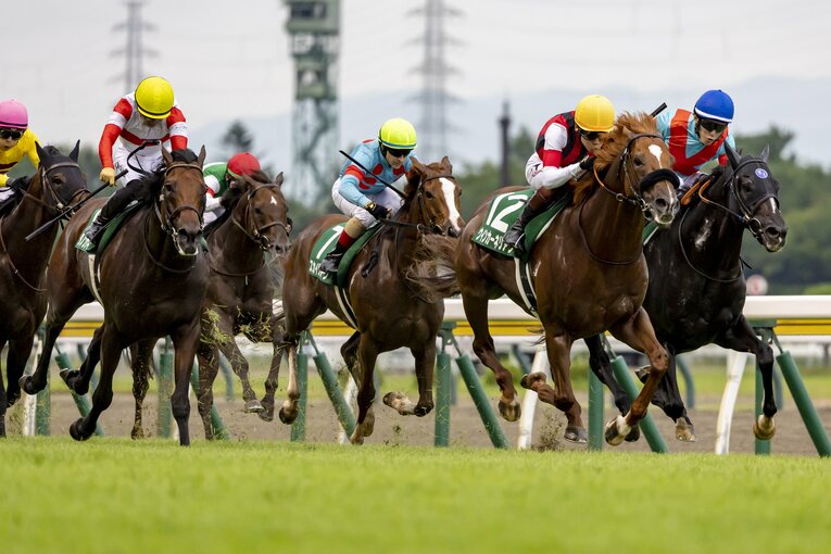 関屋記念を制したウインカーネリアン ／ photograph by photostud