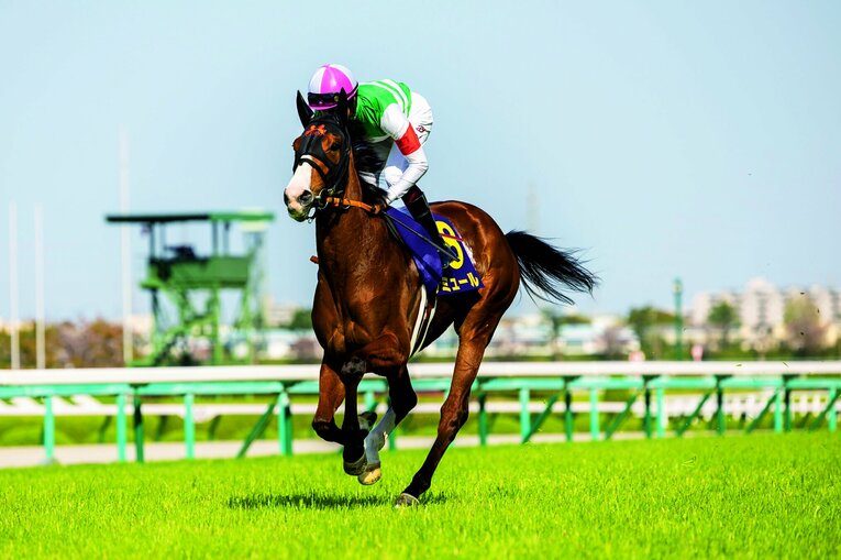 秋華賞で僚馬スタニングローズの後塵を拝したナミュールだが、ポテンシャルではまったく見劣りしない　©Photostud