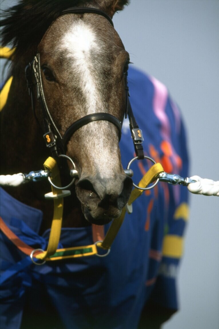 1998年皐月賞を制したセイウンスカイ　©Tomohiko Hayashi