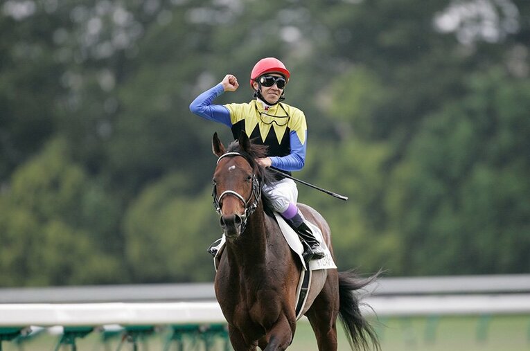 武豊も愛したディープインパクト。人間なら50代、飛ぶように逝く。(6) ／ photograph by Tamon Matsuzono