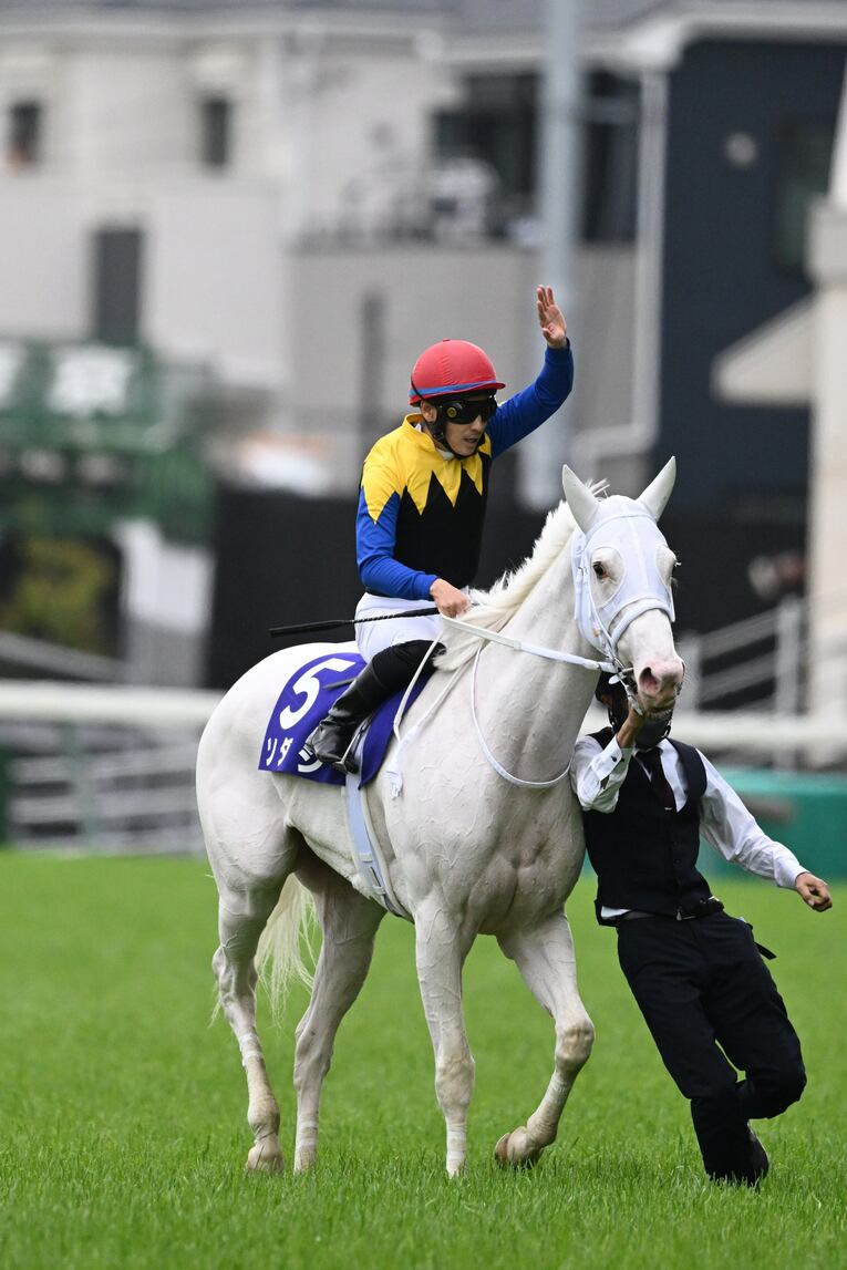 ソダシvsスターズオンアースは競馬史に残るレースとなるか？「ウオッカとダイワスカーレット」以来の“名牝ライバル誕生”を期待してしまう理由(14)