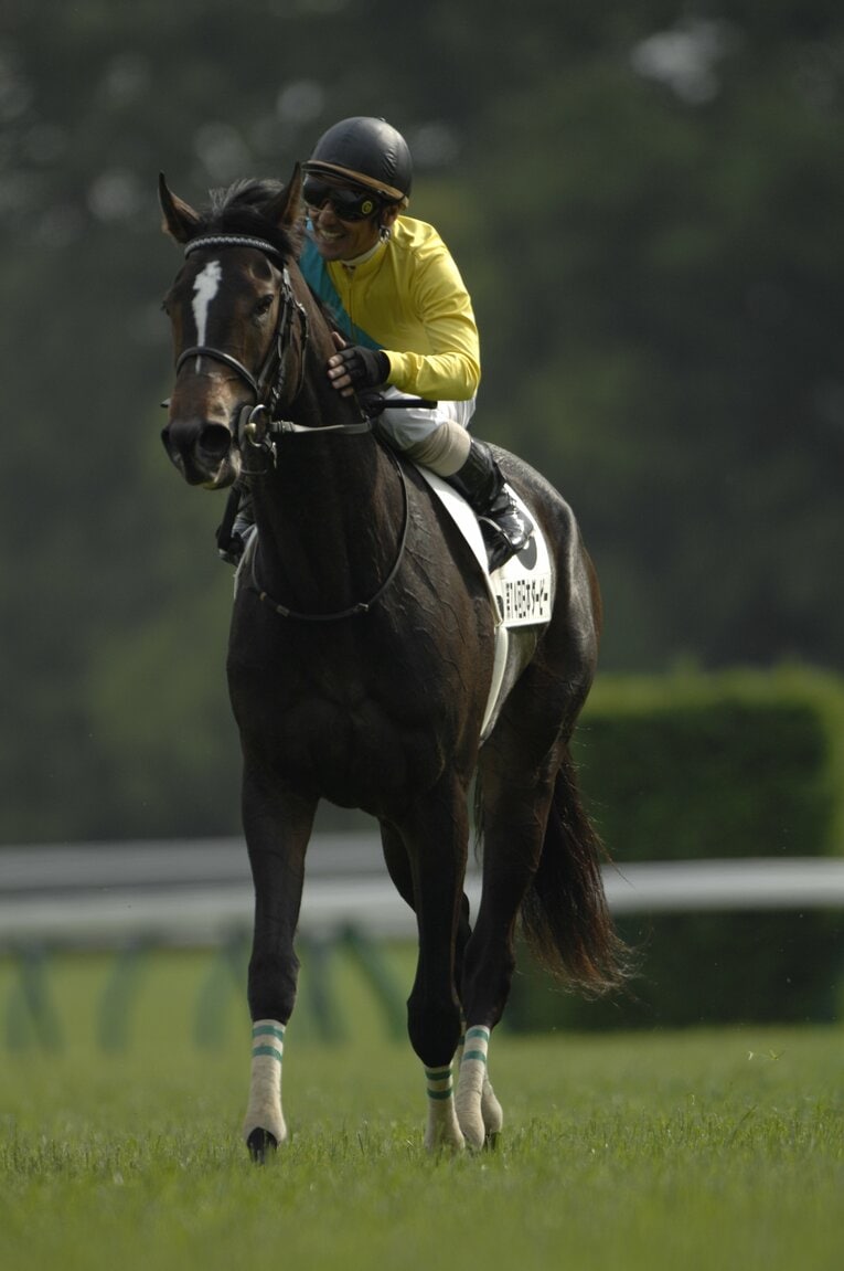 ウオッカをねぎらう鞍上の四位洋文　©BUNGEISHUNJU