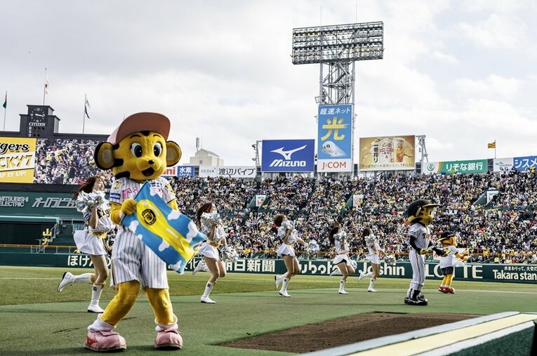 オープン戦を最下位で終えた阪神タイガース。ここ数年の「最下位球団」はレギュラーシーズンでどうだった？ ／ photograph by Kiichi Matsumoto