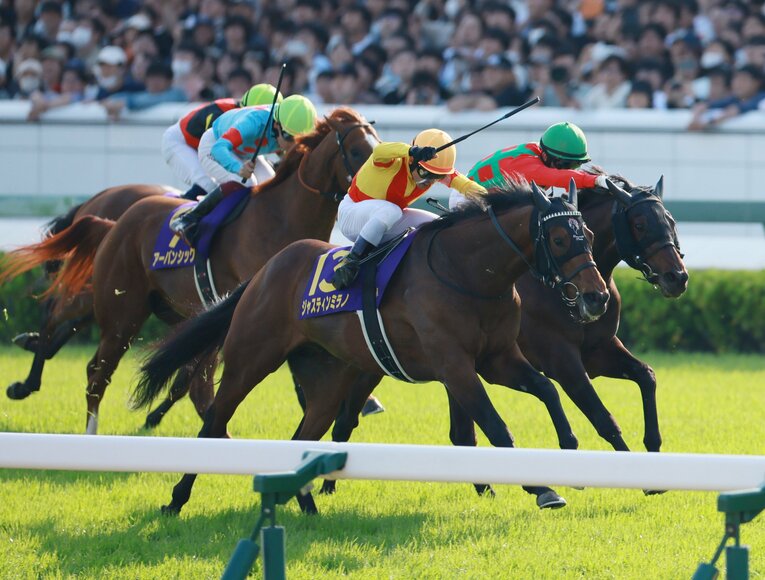 レース後のインタビューで、鞍上の戸崎圭太は「康太が後押ししてくれた」と語った　©JIJI PRESS