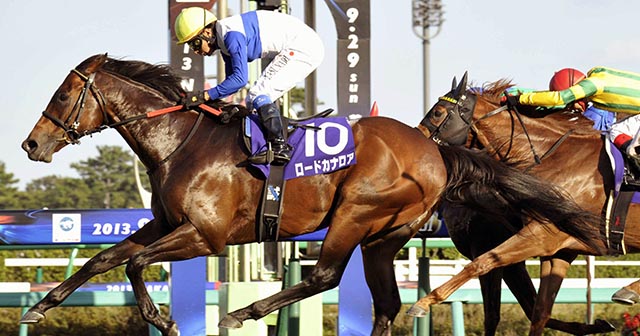 シルクロードS》香港スプリント2連覇に親子制覇…ロードカナロアが遺した“最強スプリンター伝説” 今年の短距離戦線も産駒に注目？（2／2） - 競馬 -  Number Web - ナンバー