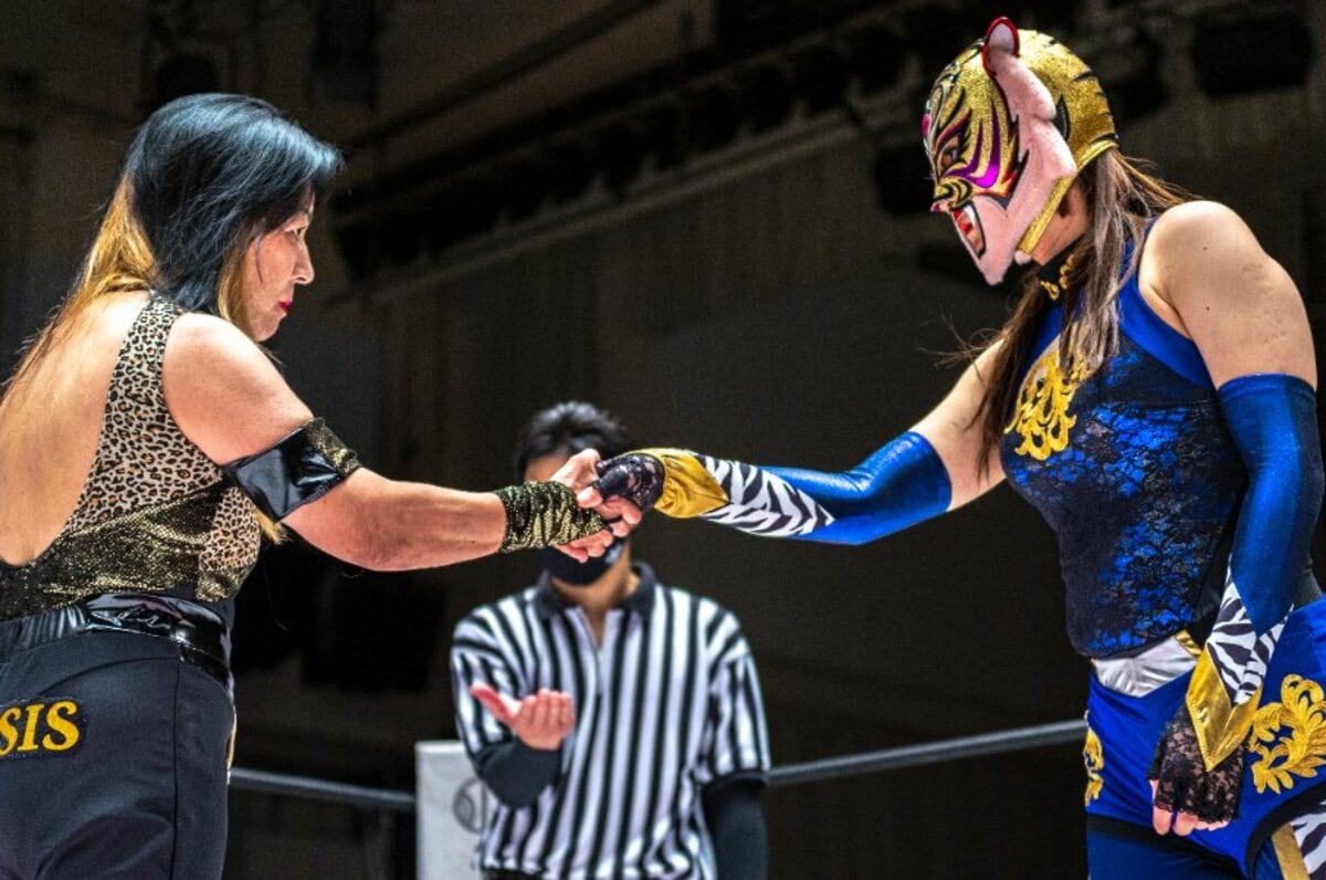 ロッテ タイガーマスク エプロン