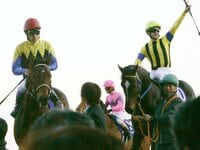 武豊サイン＆ディープインパクト有馬記念☆単勝馬券☆