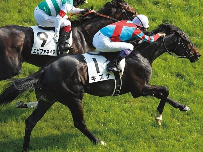 「この馬、ダービー獲れますね」”異次元の世界の馬”キズナと武豊のダービー秘話…調教師が明かすポテンシャル「それこそディープインパクトだね」＜Number Web＞ photograph by Photostud