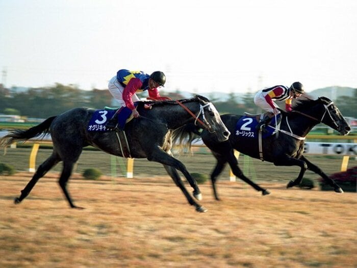 オグリキャップとホーリックス。ジャパンカップ「2.22.2」の伝説。<Number Web> photograph by JRA
