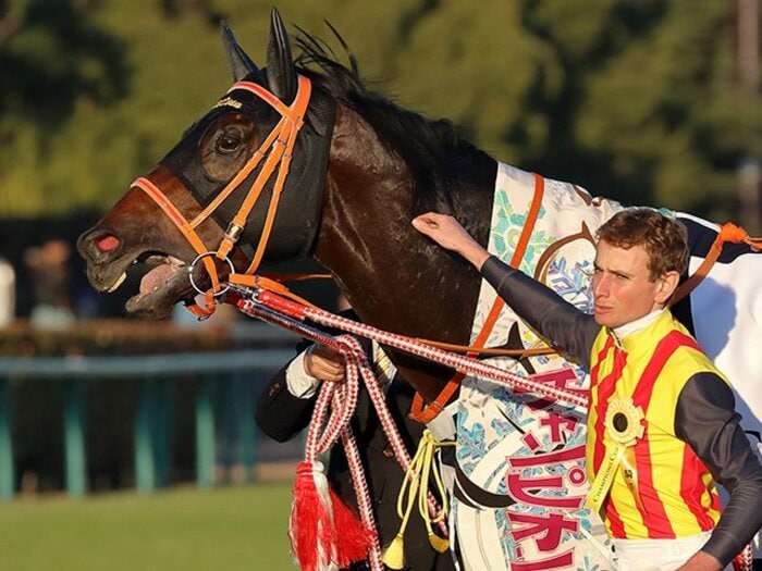 弘法は筆を、ムーアは馬を選ばず。チャンピオンズCを制した超瞬発力。＜Number Web＞ photograph by Yuji Takahashi