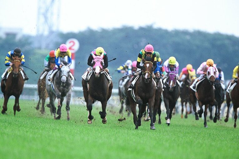 ジャングルポケット（ピンク帽、鹿毛） ／ photograph by Tomohiko Hayashi