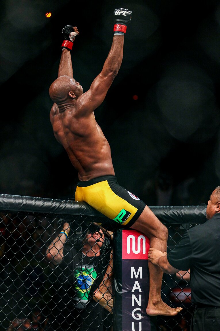 ケージによじ登って喜びを爆発させるアンデウソン・シウバ　©Susumu Nagao