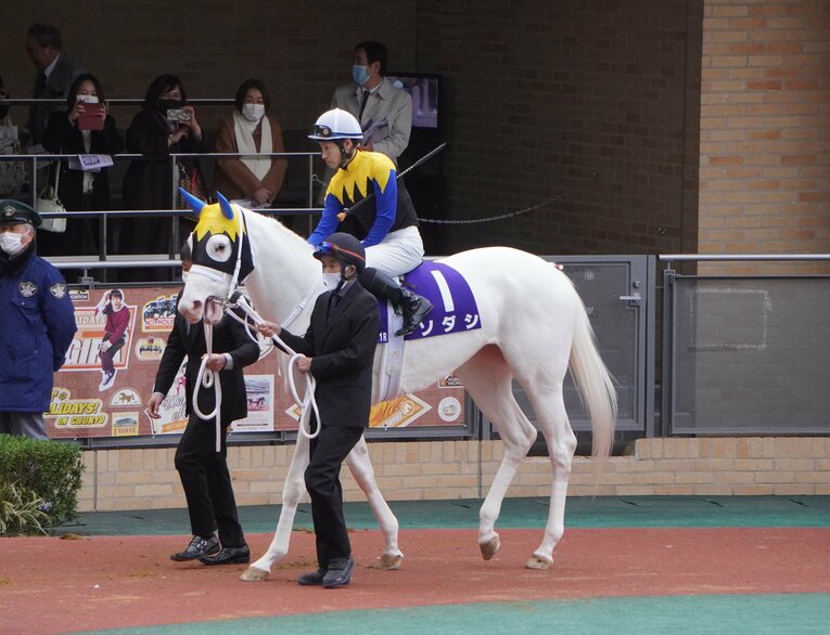 ダートGI、チャンピオンズカップに挑戦したことでも話題を呼んだソダシ　©Satoshi Hiramatsu