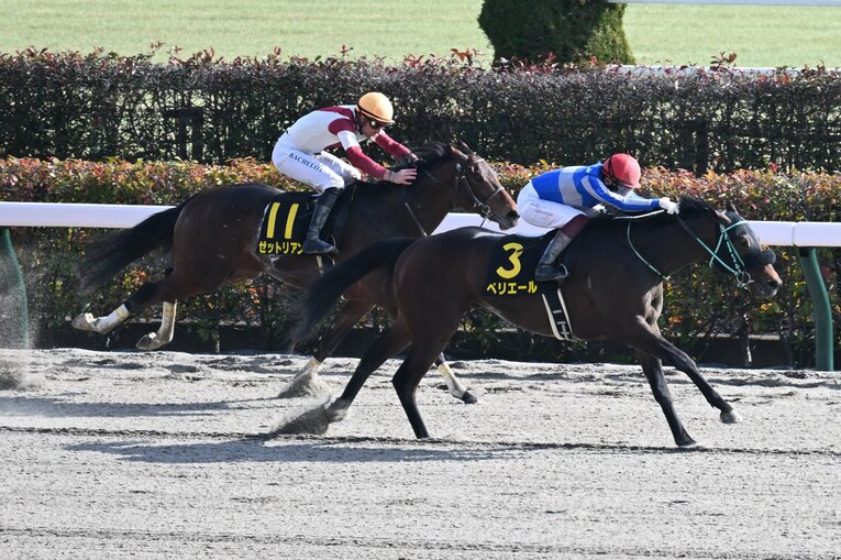 ヒヤシンスステークスでペリエールに騎乗し、JRA通算2636勝目を挙げた　©Keiji Ishikawa