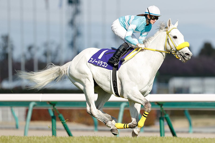 <Have a Dream 夢追い人の挑戦>藤田菜七子が騎手として過ごす日々。<Number Web> photograph by Photostud
