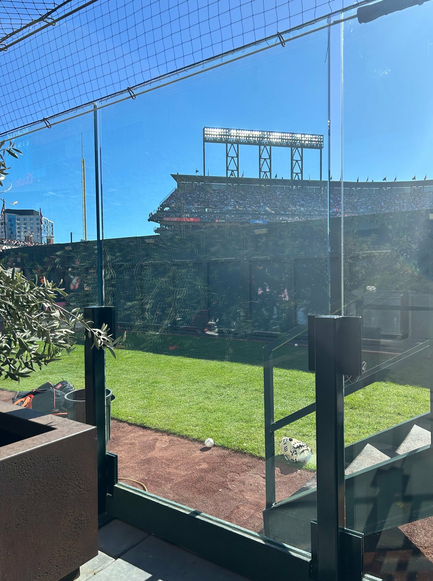ガラス張りの向こう側のホームランボール。なんとなくシュールな光景だ　©Naoyuki Yanagihara
