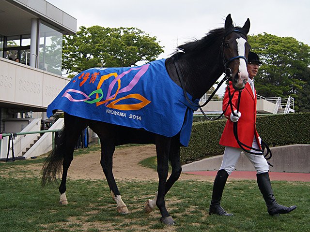 共同通信杯は皐月賞に“直結”？ 今月で引退・蛯名騎手とイスラボニータ