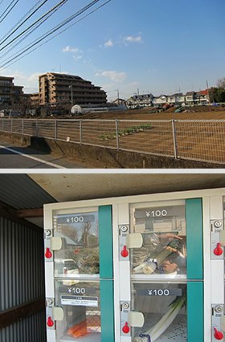 練馬の辺りに広がる乾いた関東ローム層が名物のダイコンを育む……イマドキは自動販売機で安く買えるようです。　