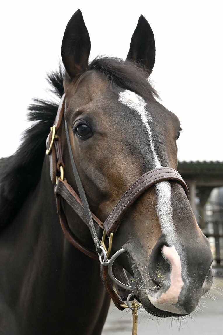 「僕とタイトルホルダーは折り合えるんだ」 横山家の長男・横山和生（29）が明かした天皇賞・春への自信と“父・典弘からのアドバイス”(25)