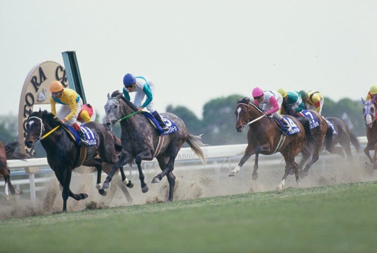 1992年の天皇賞・春。メジロマックイーンと武豊はトウカイテイオーを退けて2連覇を達成　©Tomohiko Hayashi