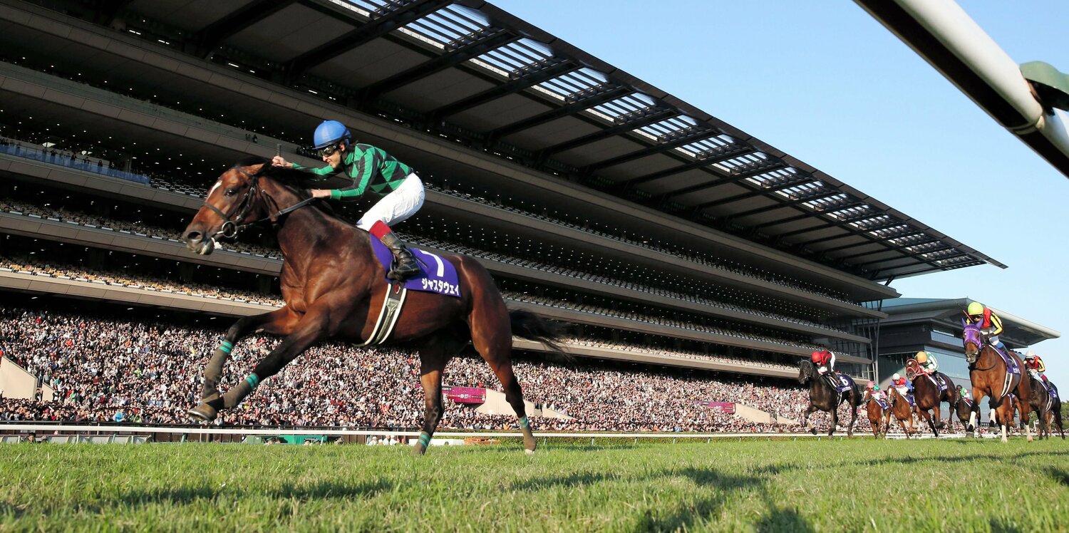 2013年の天皇賞・秋を4馬身差で圧勝したジャスタウェイと福永祐一　©JIJI PRESS
