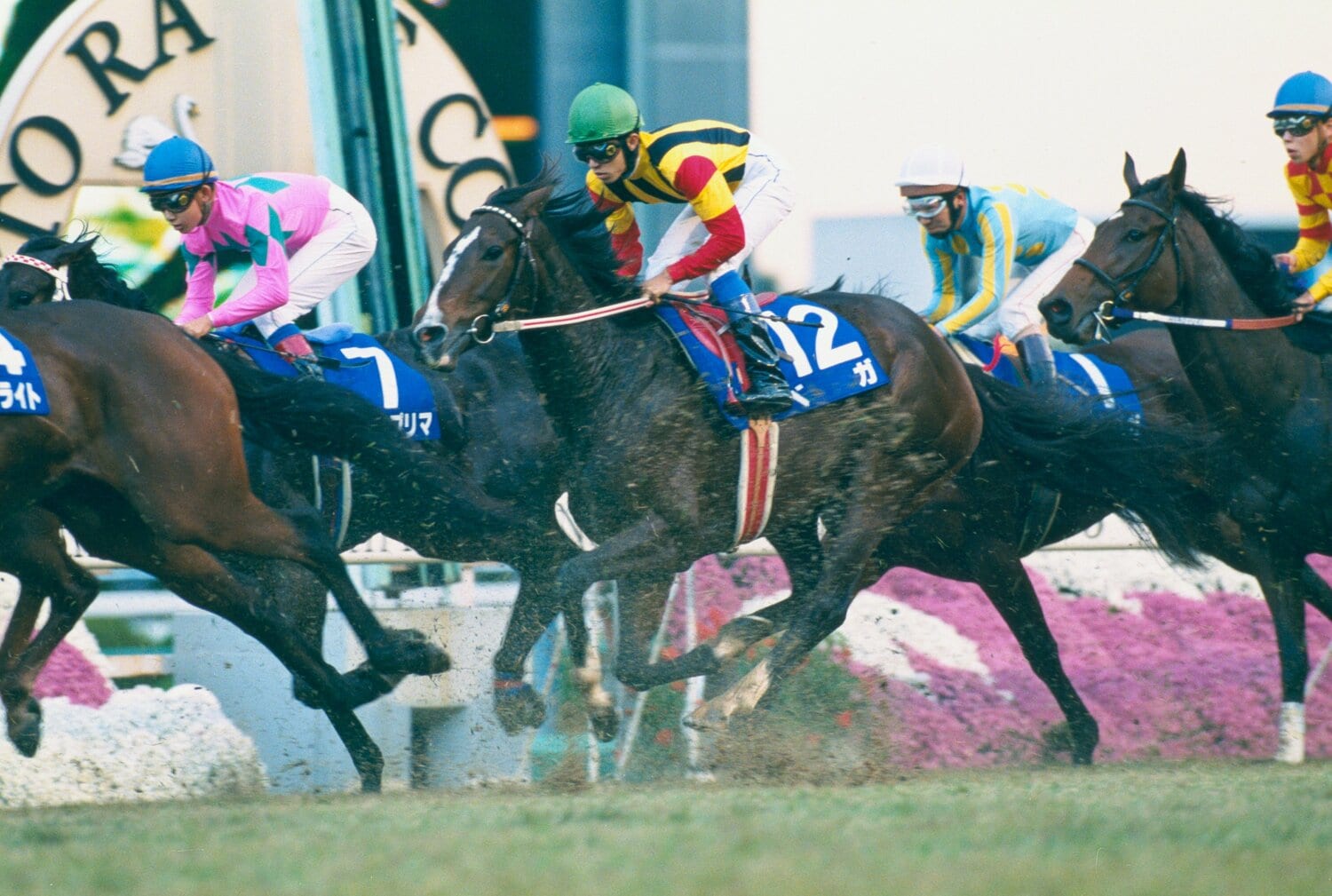 ベガと武豊 ©Keiji Ishikawa