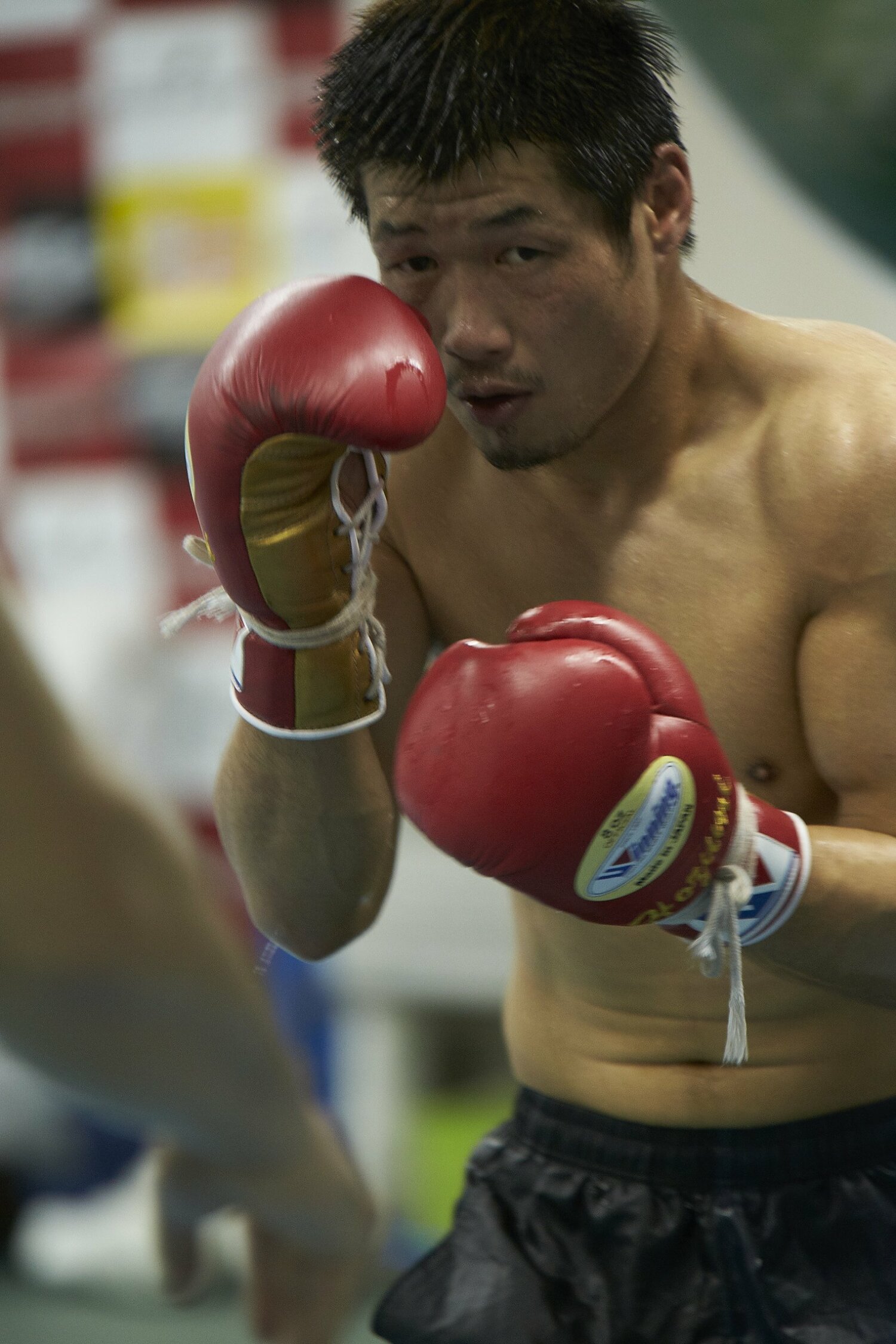 キャリア晩年の長谷川穂積　©Tadashi Shirasawa