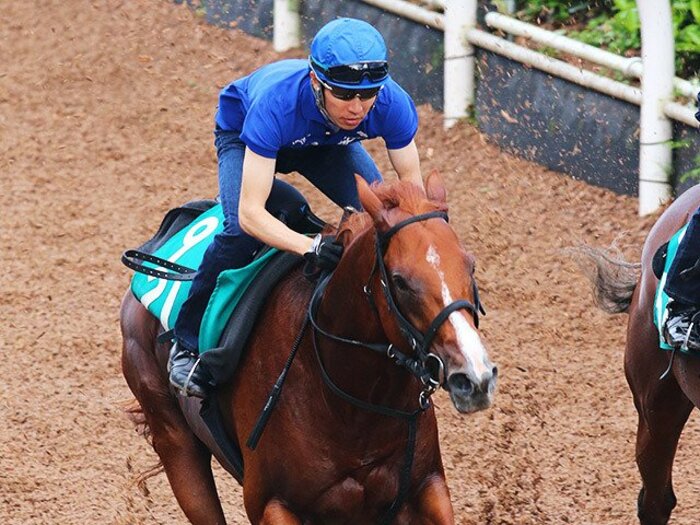 武豊のJRA全GI制覇は実現するか?馬よりも騎手に注目の朝日杯FS。<Number Web> photograph by Yuji Takahashi