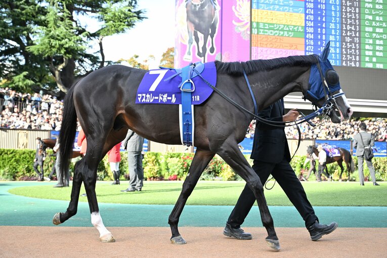 マスカレードボールのパドック　©Keiji Ishikawa