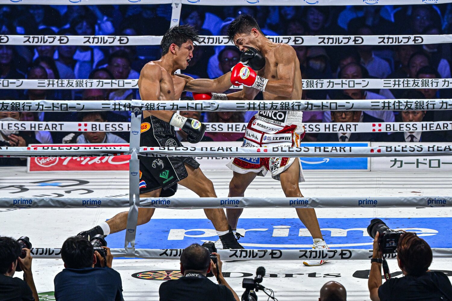 プロ初ダウンを奪われたペッチも懸命に反撃　©︎Takuya sugiyama